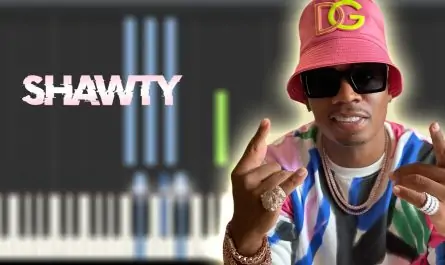 Plies- Shawty ft.T-Pain