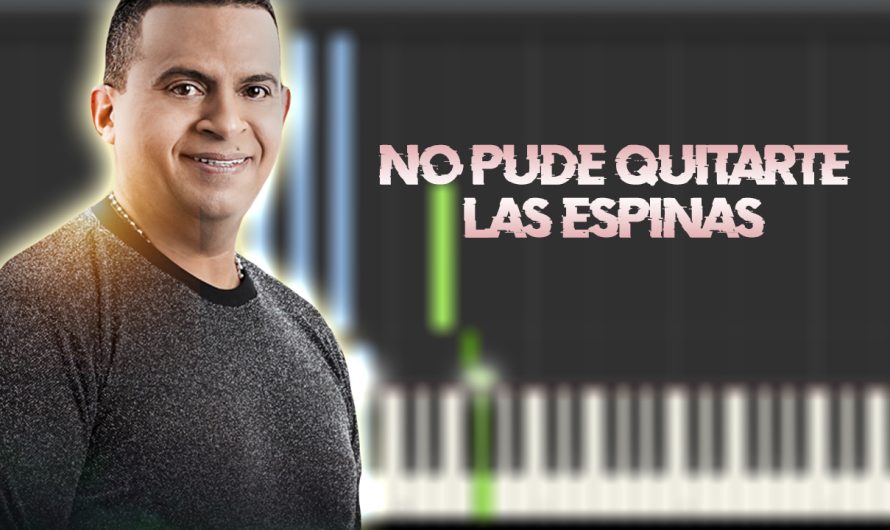 No pude quitarte las espinas – La Decision Vallenato